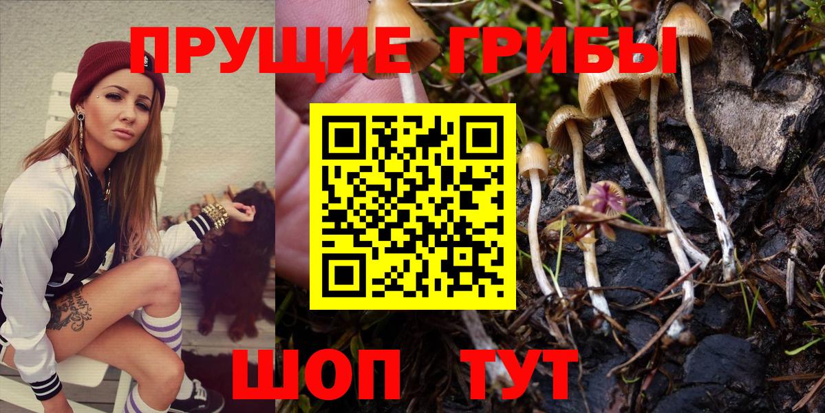 Псилоцибиновые грибы Psilocybine cubensis Воронеж