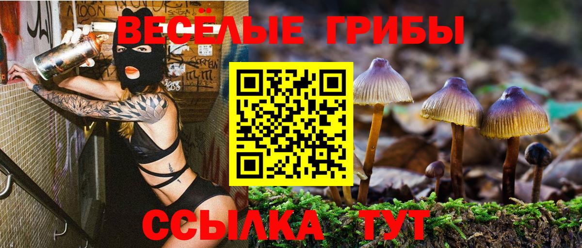 Галлюциногенные грибы MAGIC MUSHROOMS  Вход с VPN  Воронеж 
